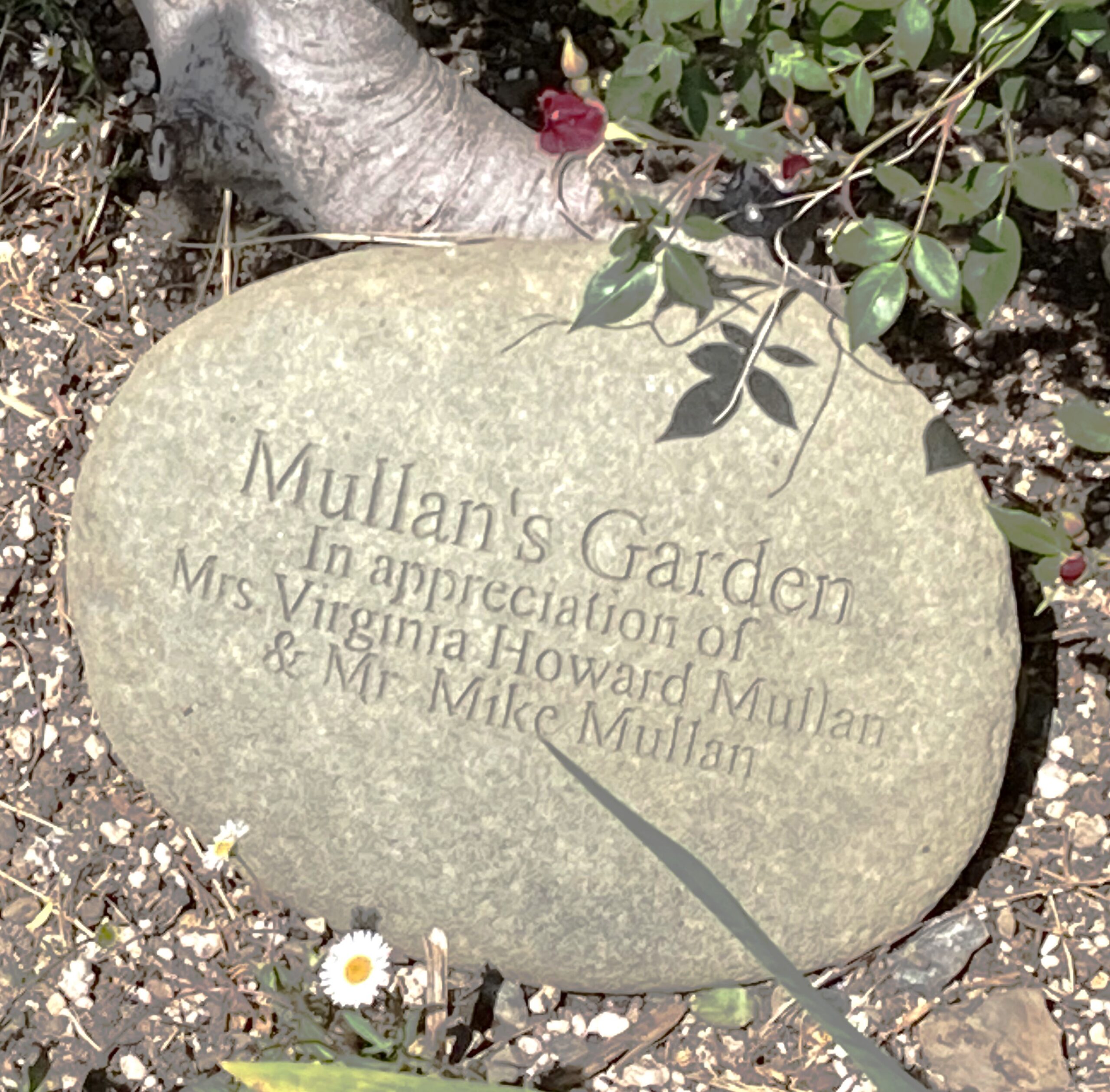 2 Mullan Garden bright