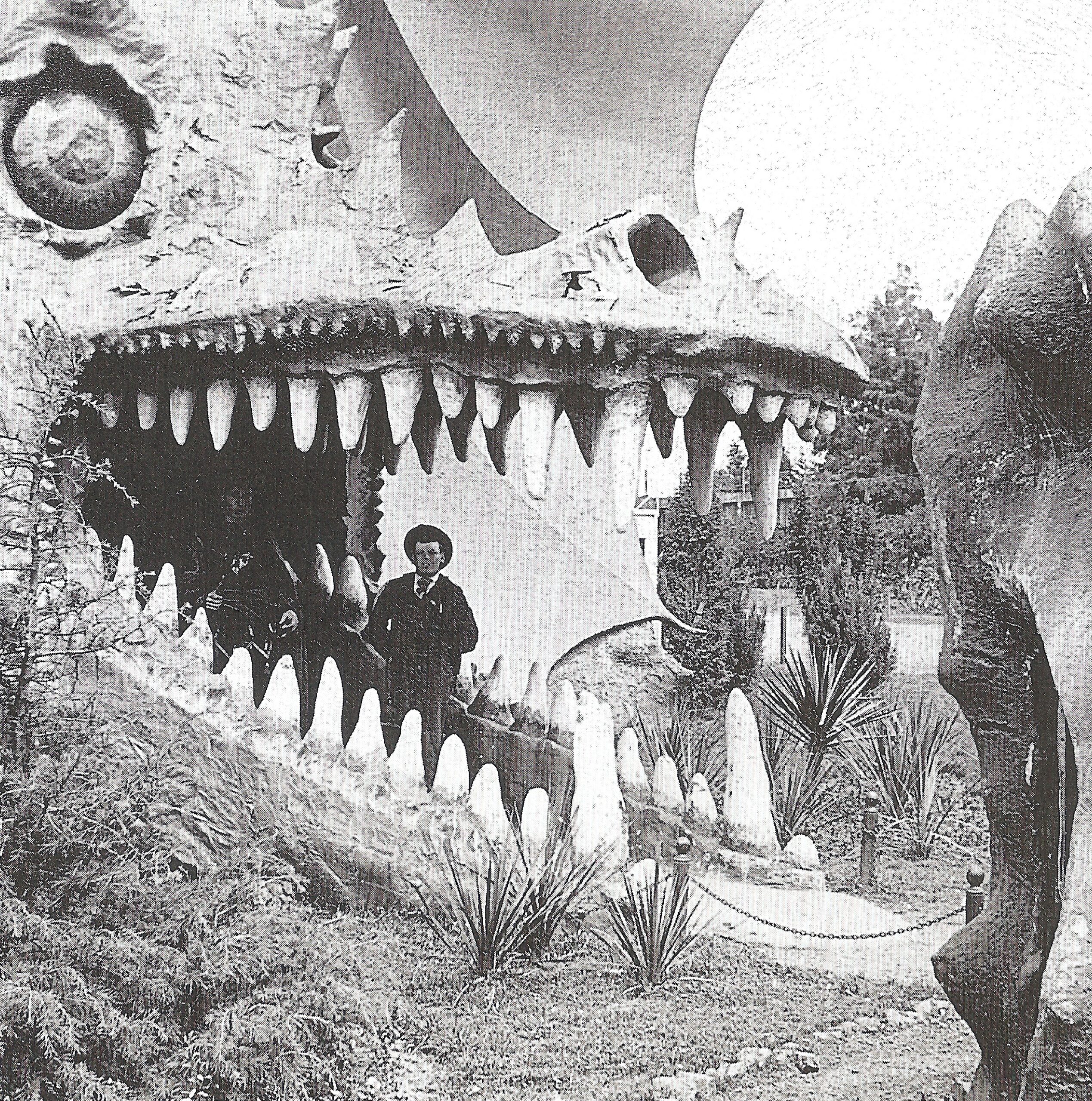 From California's Midwinter Fair in 1894.  